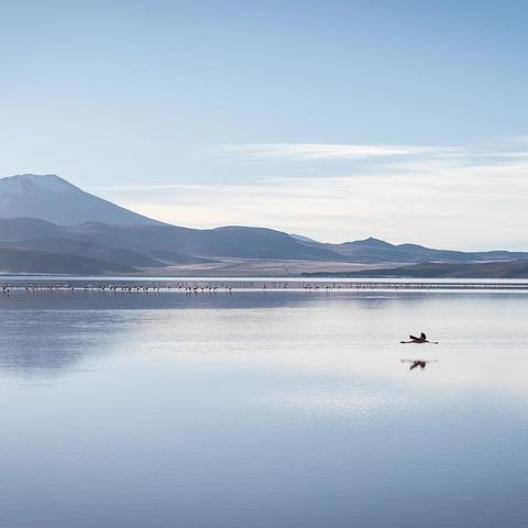 (现实和梦境都在一瞬间)突然一瞬间，梦境和现实融合为一体，难辨真实与虚幻。