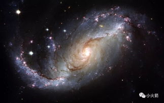 (硅基是什么东西)硅基宇宙公测：探索未来虚拟世界的无限可能与创新体验