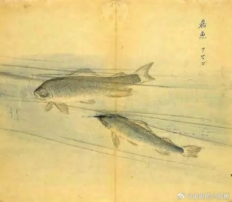 (古鱼 我的江湖)在江湖中探寻古老鱼的意涵：我的江湖古鱼于意涵第400章