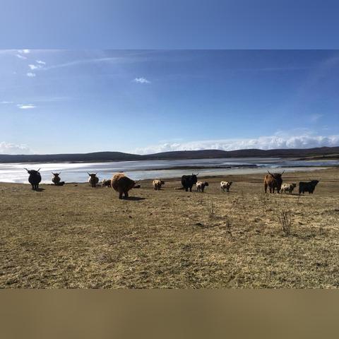 深度剖析：《梦幻模拟战》群岛来客活动中的赚钱策略与角色养成路径揭秘