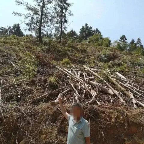 (黎明之海到底开不)探险者必备：黎明之海攻略，揭秘隐藏宝藏与神秘文明的奥秘