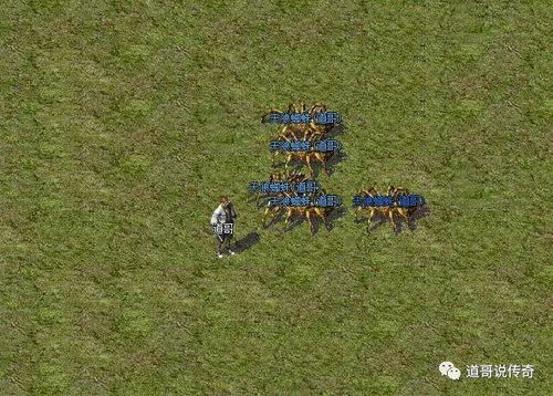 (天狼蜘蛛是什么攻击)五只天狼蜘蛛聚集力量，成功推翻祖玛统治