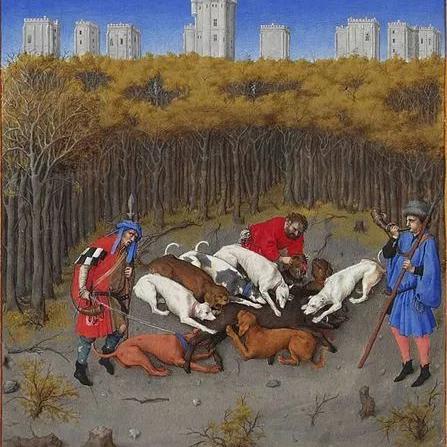 深度评测：野兽领主新世界的魅力和玩点，为何它能成为角色扮演游戏中的一股清流？