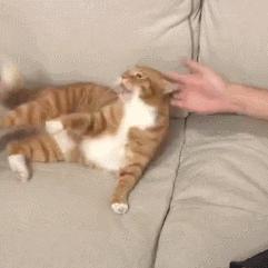 让我们探索恐怖躲猫猫3D版本的世界：惊悚与刺激并存的全新游戏体验！