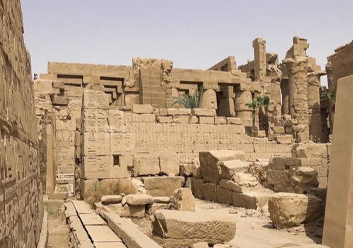 如何在城邦发展史中获得皮革？探究古代城邦中的皮革来源和制作技术