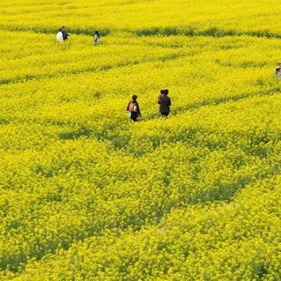 四大无敌英雄组合，挑战最终神秘迷宫，显露出他们的强大实力与团队默契