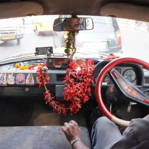 (车里进了壁虎什么征兆)车里突然跑进一只壁虎！如何处理这种突发事件？