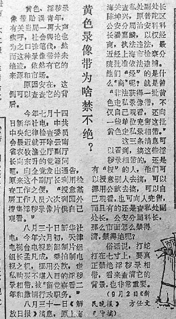 (黄书上的黑道是什么意思)深入解析黑黄书的定义及其在网络文化中的影响与意义