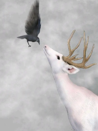 (白鹿微整了吗)大陆薇薇白鹿飞，神秘传说中的奇幻生物之谜揭晓