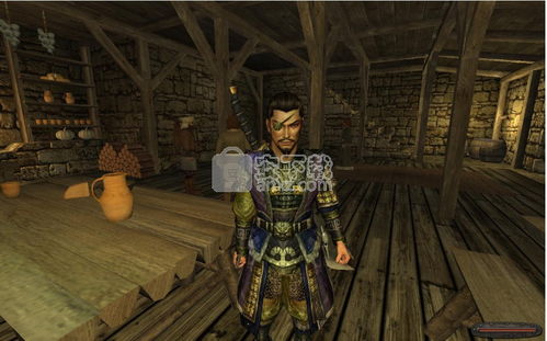 (骑马与砍杀无双三国攻略秘籍)骑马与砍杀无双三国任务攻略：玩转三国战场，完成所有挑战!