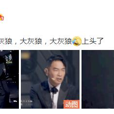 (萌兔灰灰下载)萌兔与大灰狼：一场精彩的生死对决，谁将笑到最后呢？