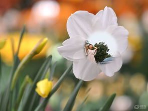 管延友 爱布谷：一段永不凋零的爱情，如同春天中盛开的花朵般美丽和动人