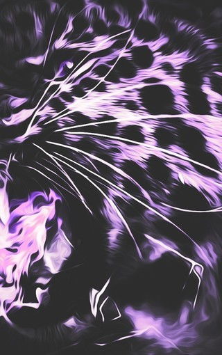 (独特霸气动物代号)超赞霸气动物代号，好听炫酷尽显无敌风采