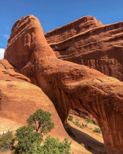 神秘探险：揭秘阿彻威尔奇妙冒险-拱谷世界的秘密与奇迹