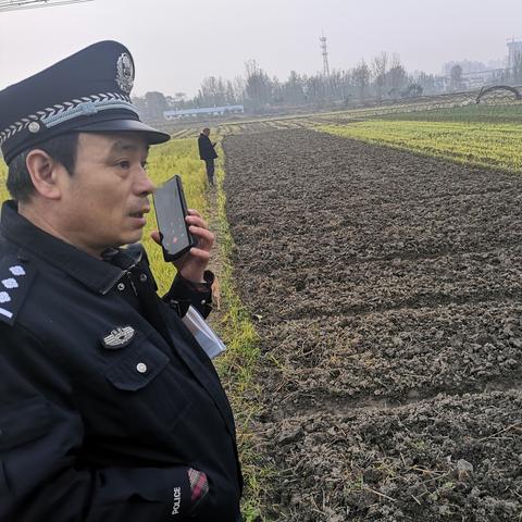 奶牛镇的小时光丢失物品全解：探寻那些不见的珍贵回忆与奇特道具