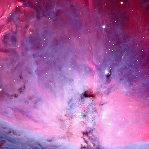 (星空传媒创始人)星空传媒演员排行榜：揭秘影视圈璀璨明星的背后故事