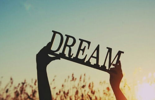 大道创造，天然折相思，告别广告，体验大量自由