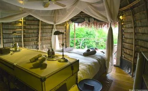 (原始森林度假)探寻自然之美：原始森林主题酒店体验