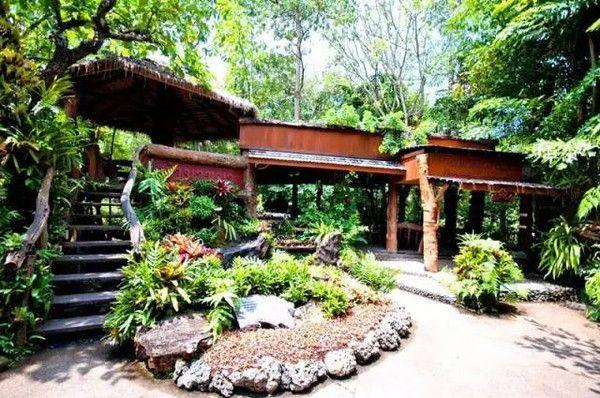 (原始森林度假)探寻自然之美:原始森林主题酒店体验 (原始森林度假)探寻自然之美:原始森林主题酒店体验