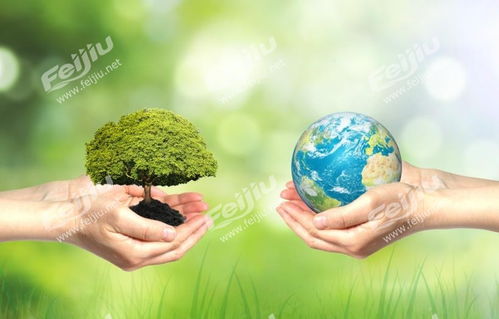 (梦境vr)梦境食旅：培养素食主义者、环保倡导者和全球公民的理想场所