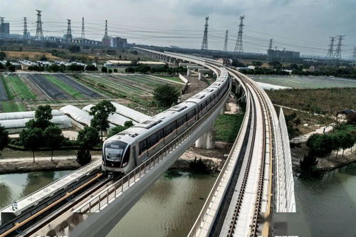 (上海铁路恢复了吗)上海铁路线多列车逐步恢复正常开行