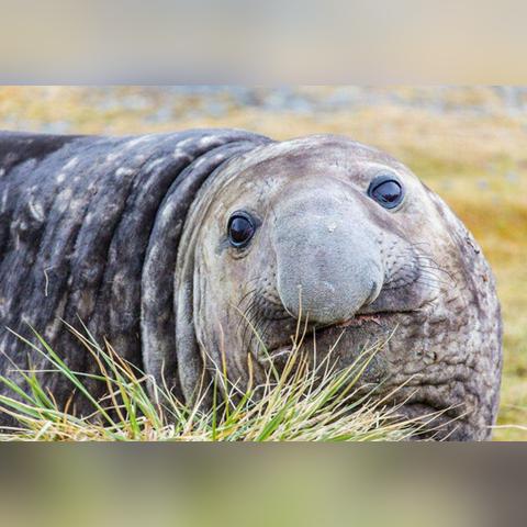 (潜水很难吗)潜水技巧最难掌握的是什么？探讨深海无限可能。