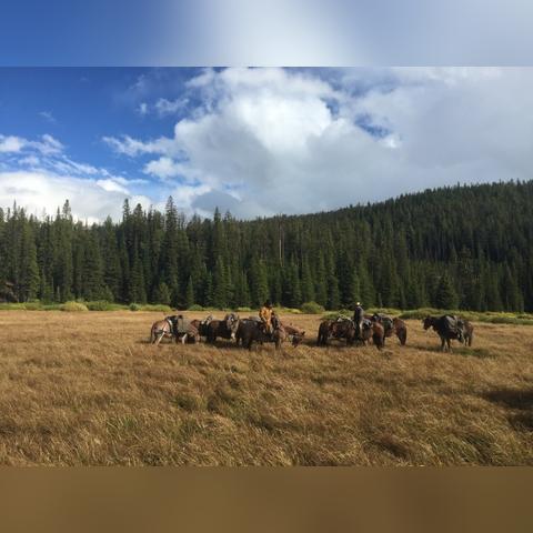 (创造一个怎样的世界)创造一个平坦世界的方法：通过创新科技建设无边界新时代。