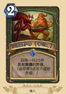 体验免费无限可能：《恐龙快消》无限金币无限钻石，玩家福音为您揭秘无尽富足乐趣