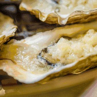 关于《食物语》全人物图鉴，全面解析角色背景与特色，一览角色设计与成长之路