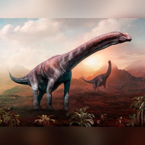 (恐龙 文案)恐龙的文案短句：带你进入干净治愈的史前时光