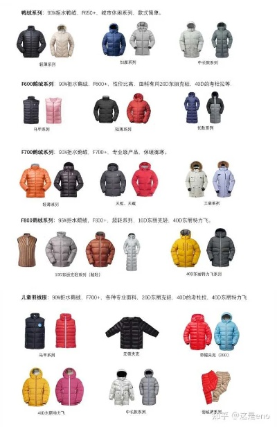 全面评测佚梦羽绒服质量及其在市场上的口碑分析，值得购买吗？