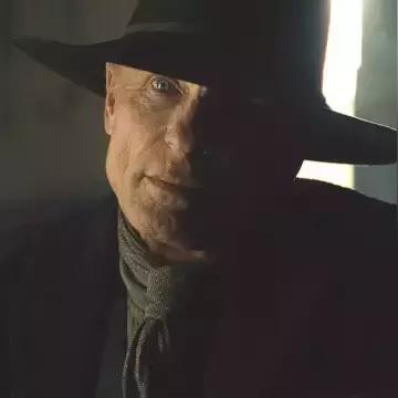 (幕府将军2名将)幕府将军2将军技能详解：探究幕府将军2中两位将军的技能特点