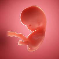 (探讨游戏账号交易的风险与安全问题论文)探讨游戏账号交易的风险与安全问题