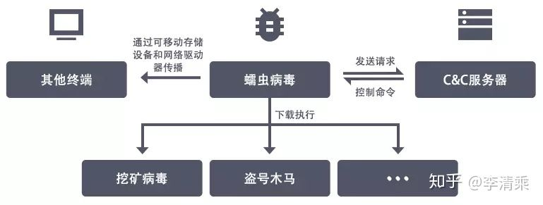 电脑病毒是由哪种编程语言编写的？详细解读电脑病毒的制作过程