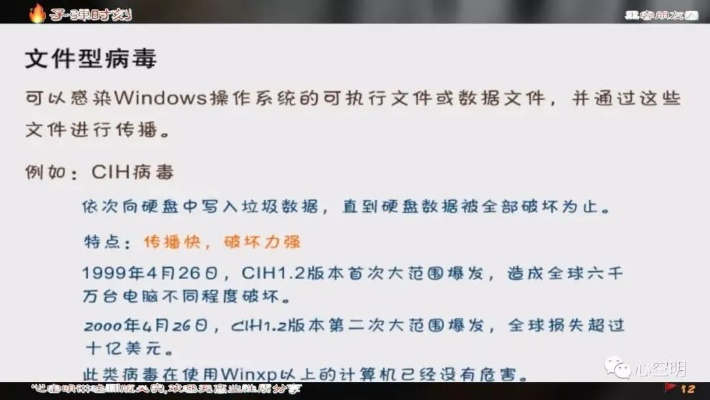 电脑病毒是由哪种编程语言编写的？详细解读电脑病毒的制作过程