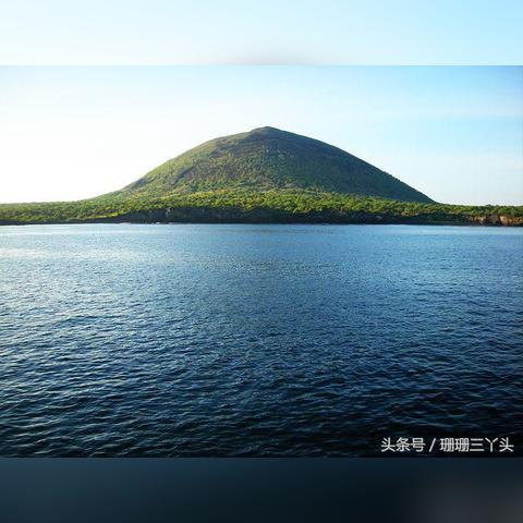 (骑士冲刺)骑士冲啊，决战雨林中的险恶之地