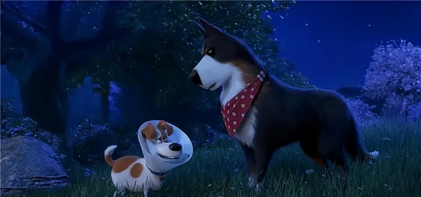 (爱宠大机密讲解)揭秘爱宠大机密：与宠物共度的惊心动魄冒险故事