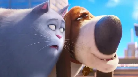 (爱宠大机密讲解)揭秘爱宠大机密：与宠物共度的惊心动魄冒险故事