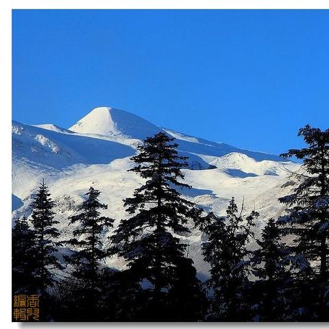 长白山终年积雪，是因为其高海拔和特殊气候条件造就的万年冰雪奇观