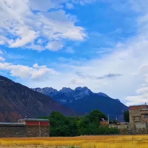 (7-11便利店图片)7-11连锁便利店已全球开设7万家分店，实力无可匹敌