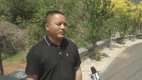 (村庄日记2 1.55)探寻乡村之美：《村庄日记2图鉴》详细解读乡村文化与风土人情