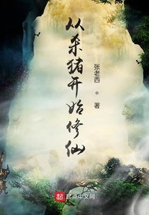 (神仙记小说)神仙记事录，万万不能选错，如何抉择让这趟旅程更神奇？