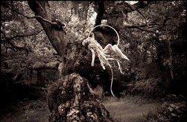 (欧洲狩猎文化)探秘狩猎温特伯格：欧洲最古老的狩猎之地