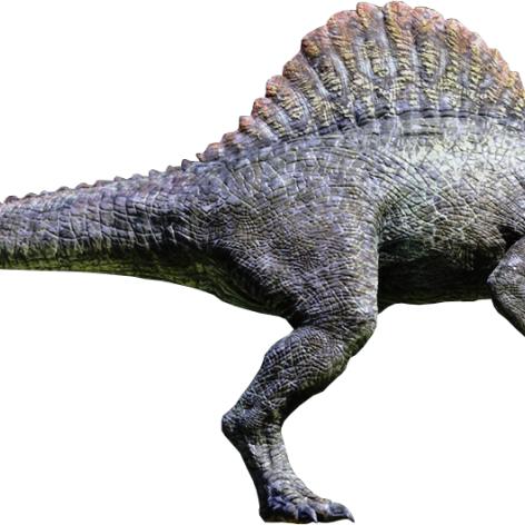 (萌龙大乱斗百度百科)萌龙大乱斗wiki，一个关于萌龙大乱斗游戏的详尽资料和攻略网站