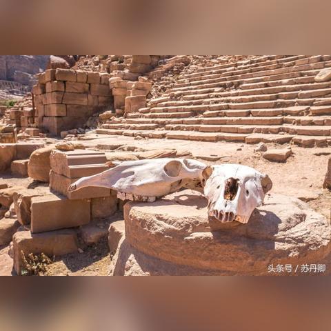 (乱失落之岛手游下载)探秘乱失落之岛：这款游戏究竟是单机体验还是多人在线互动？