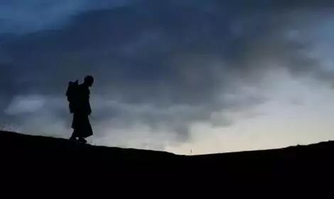 受已注定因果轮回全文阅读：命运的轮回，注定的宿命，无解的因果