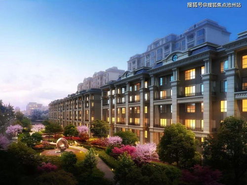 以物语系列深度解析为核心，揭示各剧集之间的时间线联系及正确观看顺序以保证完整理解