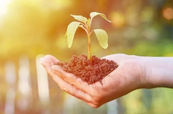 你可以养我吗?让我成为你生活中的一部分,共同创造美好的未来 你可以养我吗?让我成为你生活中的一部分,共同创造美好的未来