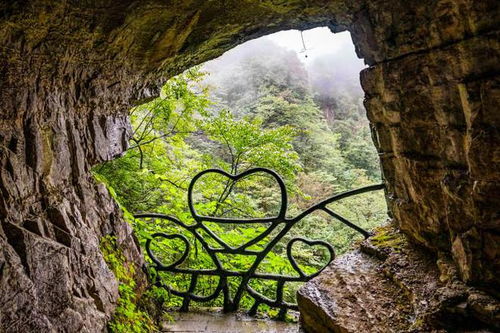 (幽深的森林)在神秘的幽幽森林中探索自然的奇迹与灵魂的宁静之旅