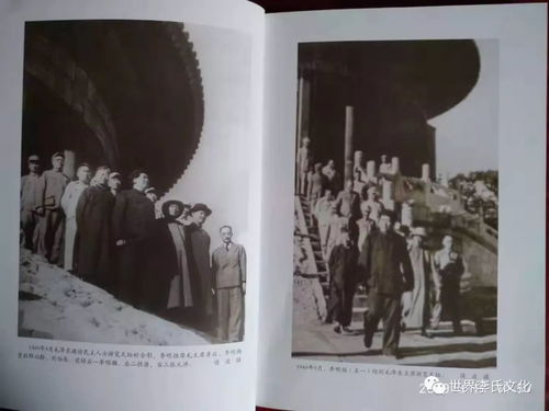 (乔梁作者)乔梁的经典传世作品推荐：读后感慨万千，深入人心！